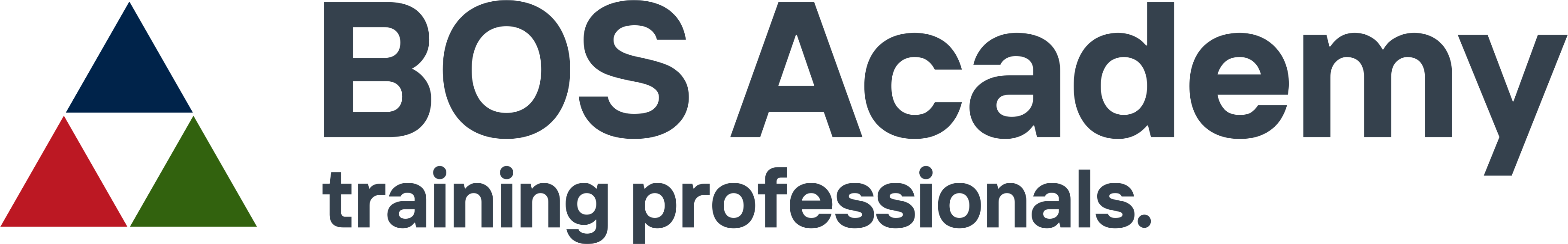 BOS Academy – training professionals.